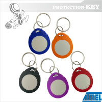 Брелок-заготовка Т5577 " IL " Двоколірні