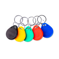 Брелок-заготовка для Vizit сумісний з  Mifare UL-Z