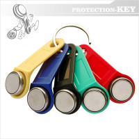 Ключ-заготовка RW 2007 (RW-07)